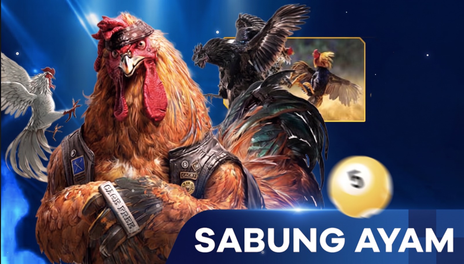 cockfight